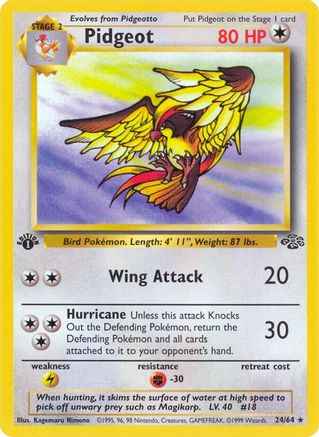 Pidgeot 024/64 - Jungle 1st Edition