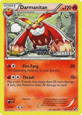 Darmanitan (Prerelease) [Staff] 025/114 - Black and White Promos Holofoil