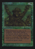 Living Lands (IED-) - Intl. Collectors' Edition