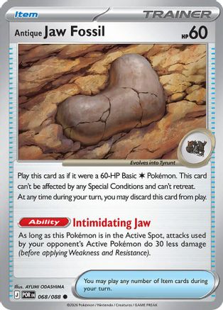 Antique Jaw Fossil 068 - ME03 Perfect Order