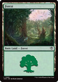 Forest (0280) (SOS-280) - Secrets of Strixhaven Foil