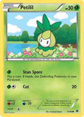 Petilil 013/98 - Emerging Powers