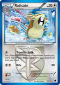 Raticate (Team Plasma) 088/116 - Plasma Freeze