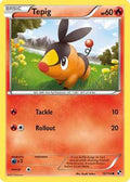 Tepig 015/114 - Black and White