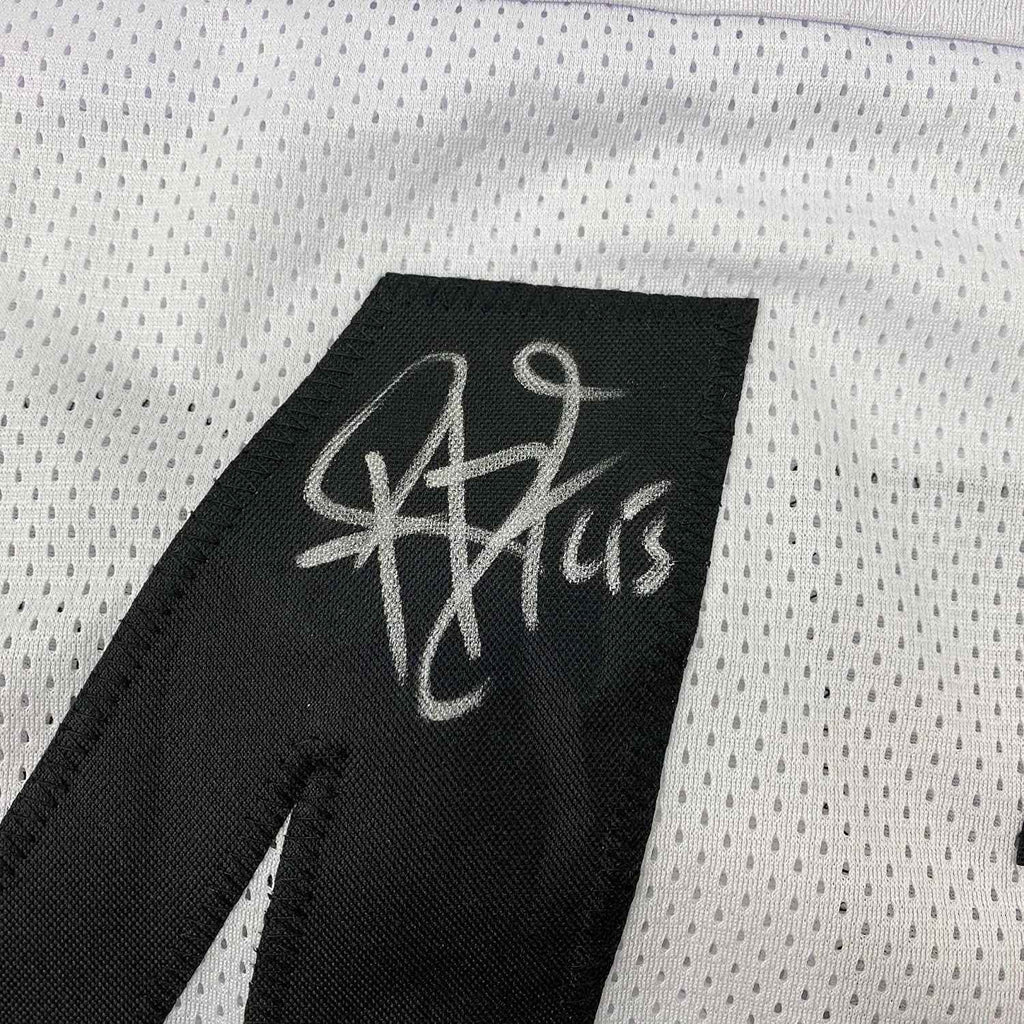 Framed Autographed/Signed Troy Polamalu 35x39 Pittsburgh White Football Jersey Beckett BAS COA