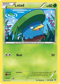 Lotad 010/160 - XY  Primal Clash Reverse Holofoil