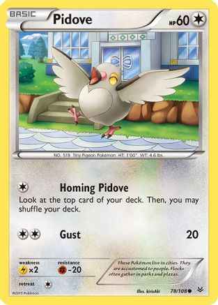 Pidove 078/108 - XY  Roaring Skies