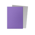Dragon Shield:  Nebula & Silver Dual Matte Sleeves (100)