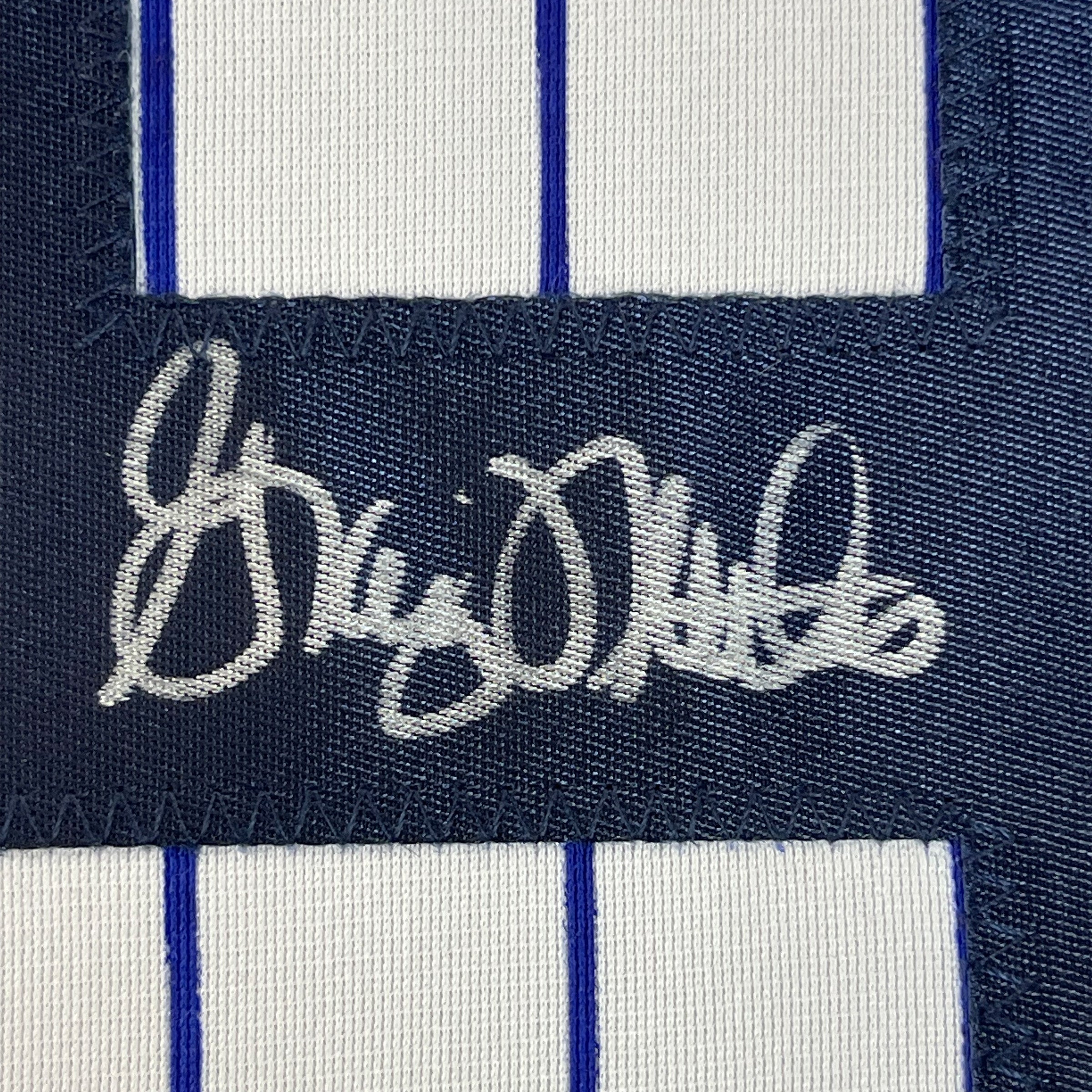 Framed Autographed/Signed Graig Nettles 35x39 New York Pinstripe Baseball Jersey JSA COA