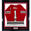 Framed Autographed/Signed Glenn Hall 35x39 Chicago Red Hockey Jersey JSA COA