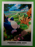Pokémon Card Sleeve (Single Sleeve)